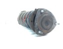 AMORTIGUADOR DELANTERO IZQUIERDO 37501006 