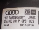 AIRBAG DELANTERO IZQUIERDO 81A880201P 