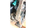 MOTOR COMPLETO CULA 06K100034K 