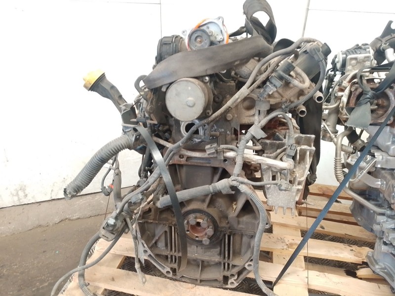 Recambio de despiece motor para renault kangoo profesional referencia OEM IAM K9K808  