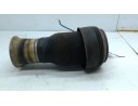 MUELLE SUSPENSION TRASERA 3712679007901 