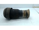 MUELLE SUSPENSION TRASERA 3712679007901 