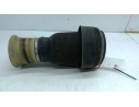 MUELLE SUSPENSION TRASERA 3712679007901 