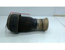 MUELLE SUSPENSION TRASERA 3712679007901 