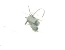 SENSOR 7810831 