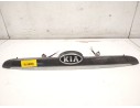 MANETA EXTERIOR PORTON 925012F010 