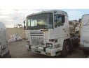PEGASO 1234 T