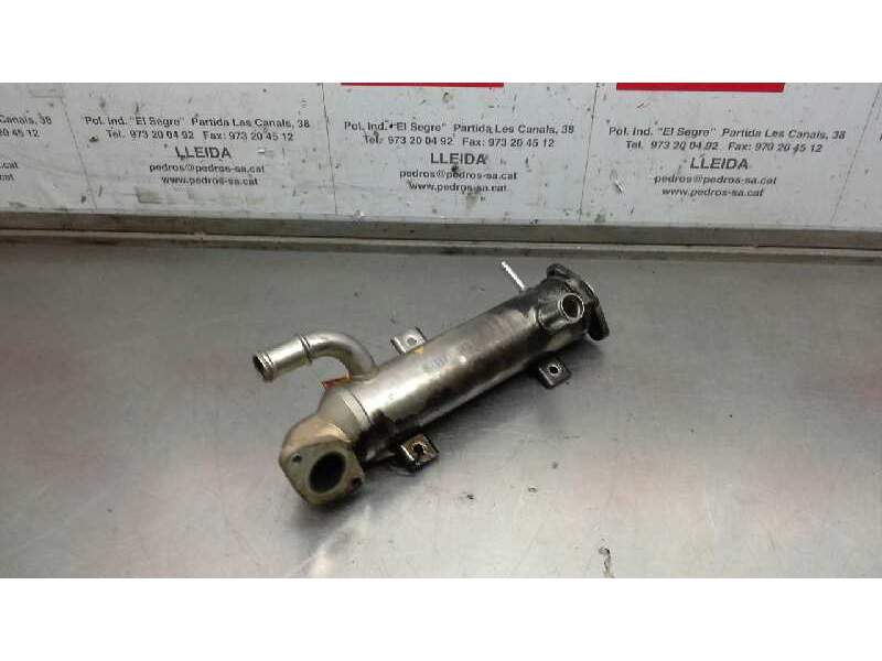 Recambio de enfriador de gases para volkswagen golf iv berlina (1j1) gti edicion especial referencia OEM IAM   