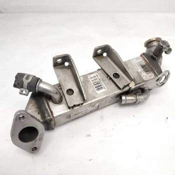 ENFRIADOR DE GASES 8200719993 106255