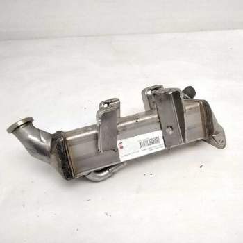 Recambio de enfriador de gases para renault trafic caja cerrada dci cat referencia OEM IAM 8200719993  106255