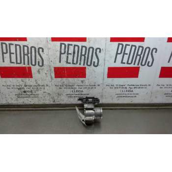 CUERPO DE MARIPOSA 9673534480 