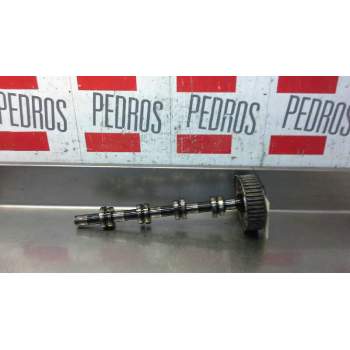 ARBOL DE LEVAS 038109111E 