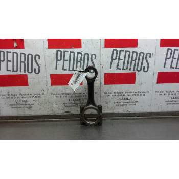 BIELA 