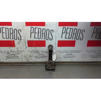 BIELA 