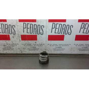 Recambio de piston para citroën xsara berlina 1.9d seduction referencia OEM IAM   