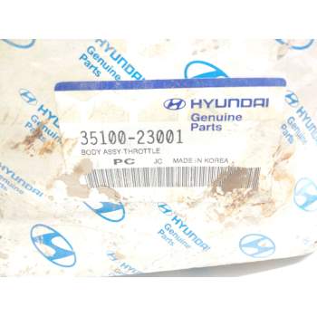 Recambio de cuerpo de mariposa para hyundai coupe (gk) referencia OEM IAM   