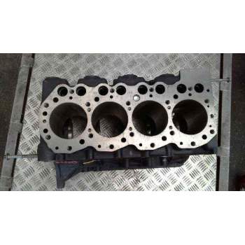 Recambio de bloque para nissan terrano/terrano.ii (r20) 2.7 turbodiesel referencia OEM IAM 110107F428  110107F428