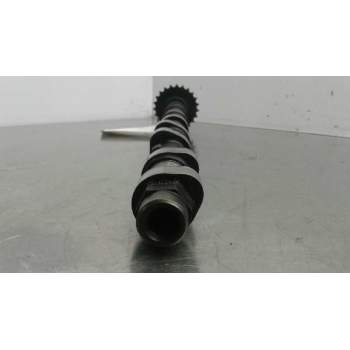 Recambio de arbol de levas para bmw serie 3 berlina (e46) 320d referencia OEM IAM 049025  