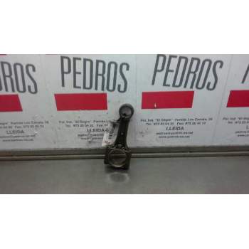 BIELA 