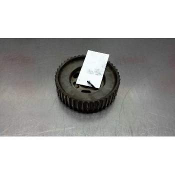 Recambio de polea bomba inyectora para volkswagen golf iv berlina (1j1) highline referencia OEM IAM   