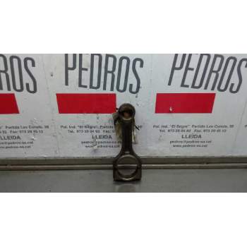 BIELA 