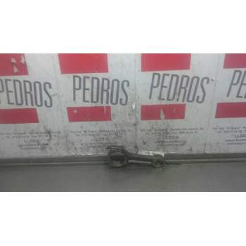 BIELA 