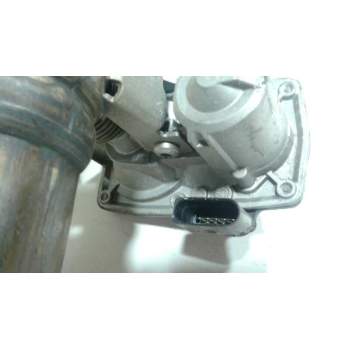 CUERPO DE MARIPOSA 50025369H55 