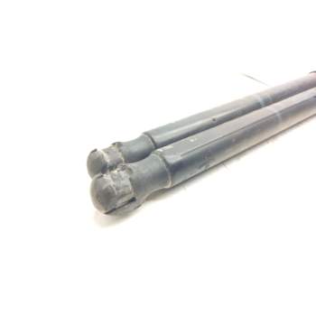 Recambio de amortiguadores maletero / porton para renault scenic ii dynamique referencia OEM IAM   