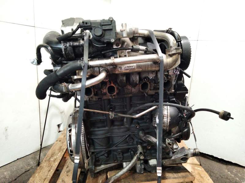 Recambio de despiece motor para audi a4 berlina (8e) 2.0 tdi 16v (103kw) referencia OEM IAM BKW  