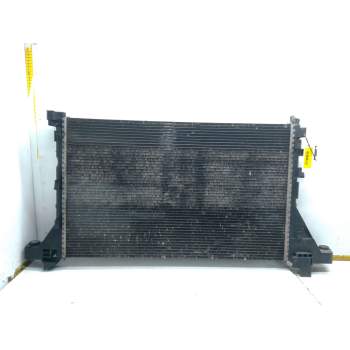 RADIADOR AGUA 214005447R 