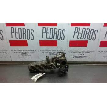 ENFRIADOR DE GASES 038131513AD 