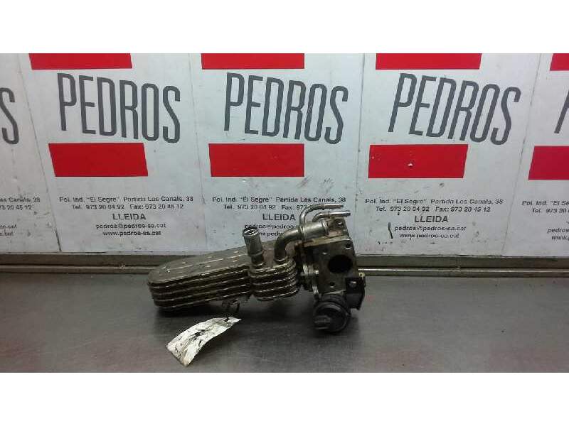 Recambio de enfriador de gases para volkswagen jetta (1k2) trendline referencia OEM IAM 038131513AD  