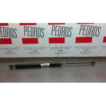 AMORTIGUADORES MALETERO / PORTON 