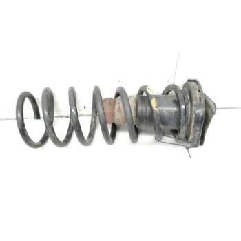 MUELLE SUSPENSION TRASERA 