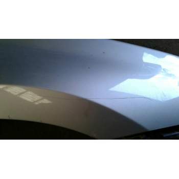 Recambio de aleta delantera derecha para renault laguna grandtour iii dynamique referencia OEM IAM 631000032R  