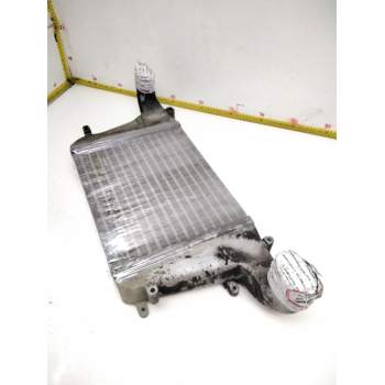 Recambio de intercooler para nissan cabstar 01.04  cabina simple cabina individual referencia OEM IAM 2200471  