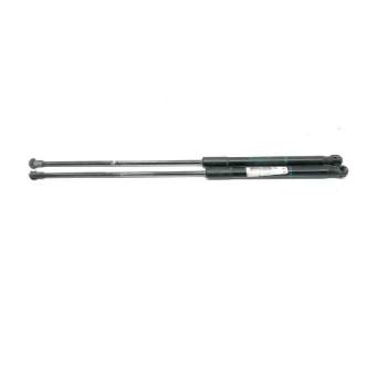 AMORTIGUADORES MALETERO / PORTON 8731J8 