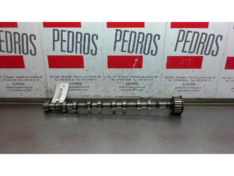 Recambio de arbol de levas para renault laguna ii (bg0) privilege referencia OEM IAM   
