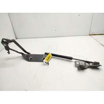 BISAGRA CAPOT IZQUIERDA FK7216801AE 
