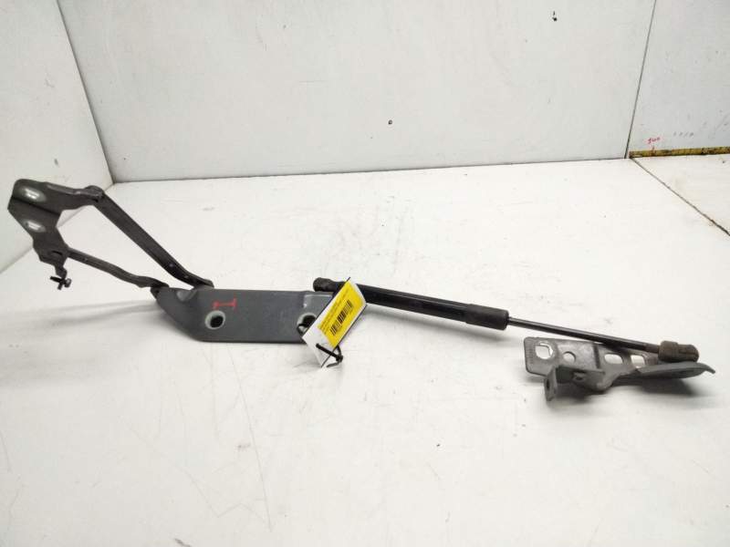 Recambio de bisagra capot izquierda para land rover discovery sport (l550) 2.0 d 4x4 referencia OEM IAM FK7216801AE  