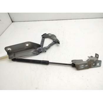 BISAGRA CAPOT DRECHA FK7216800AE 