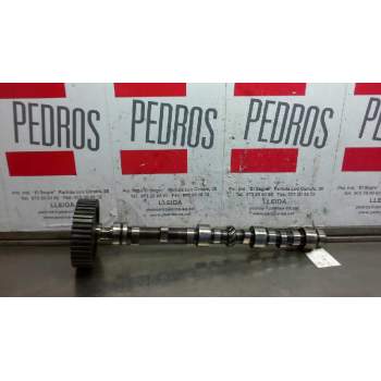 ARBOL DE LEVAS 