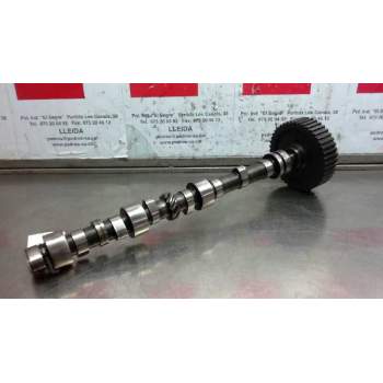 Recambio de arbol de levas para land rover discovery (salljg/lj) tdi (3-ptas.) referencia OEM IAM   