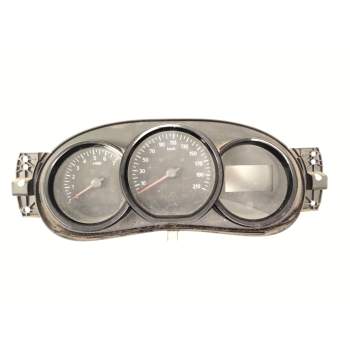 CUADRO INSTRUMENTOS 248108622R 