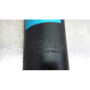 Recambio de amortiguador delantero para iveco eurostar ld440e42t referencia OEM IAM 141700123934  46009