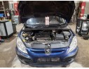 PEUGEOT 307 (S1)
