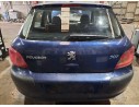 PEUGEOT 307 (S1)