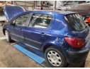 PEUGEOT 307 (S1)