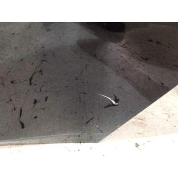 Recambio de puerta trasera izquierda para bmw 3 (f30, f80) 318 d referencia OEM IAM 41007298513  