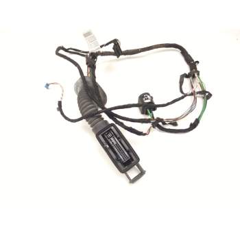 Recambio de instalacion puerta trasera izquierda para bmw 3 (f30, f80) 318 d referencia OEM IAM 9286249  